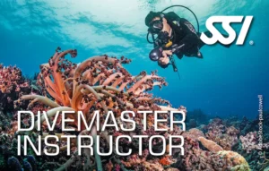 Divemaster SSI
