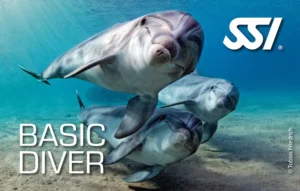 Basic Diver SSI