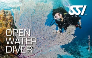Open Water SSI