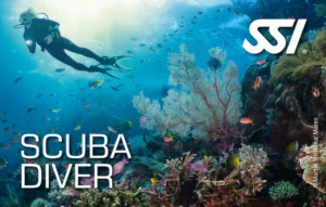 Scuba Diver SSI