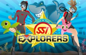 Kids Discovery